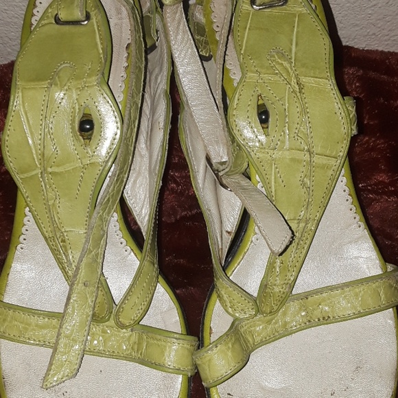 designer alligator shoes